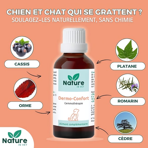 A square-format educational ad featuring a central product bottle surrounded by natural ingredient icons to solve pet scratching problems.